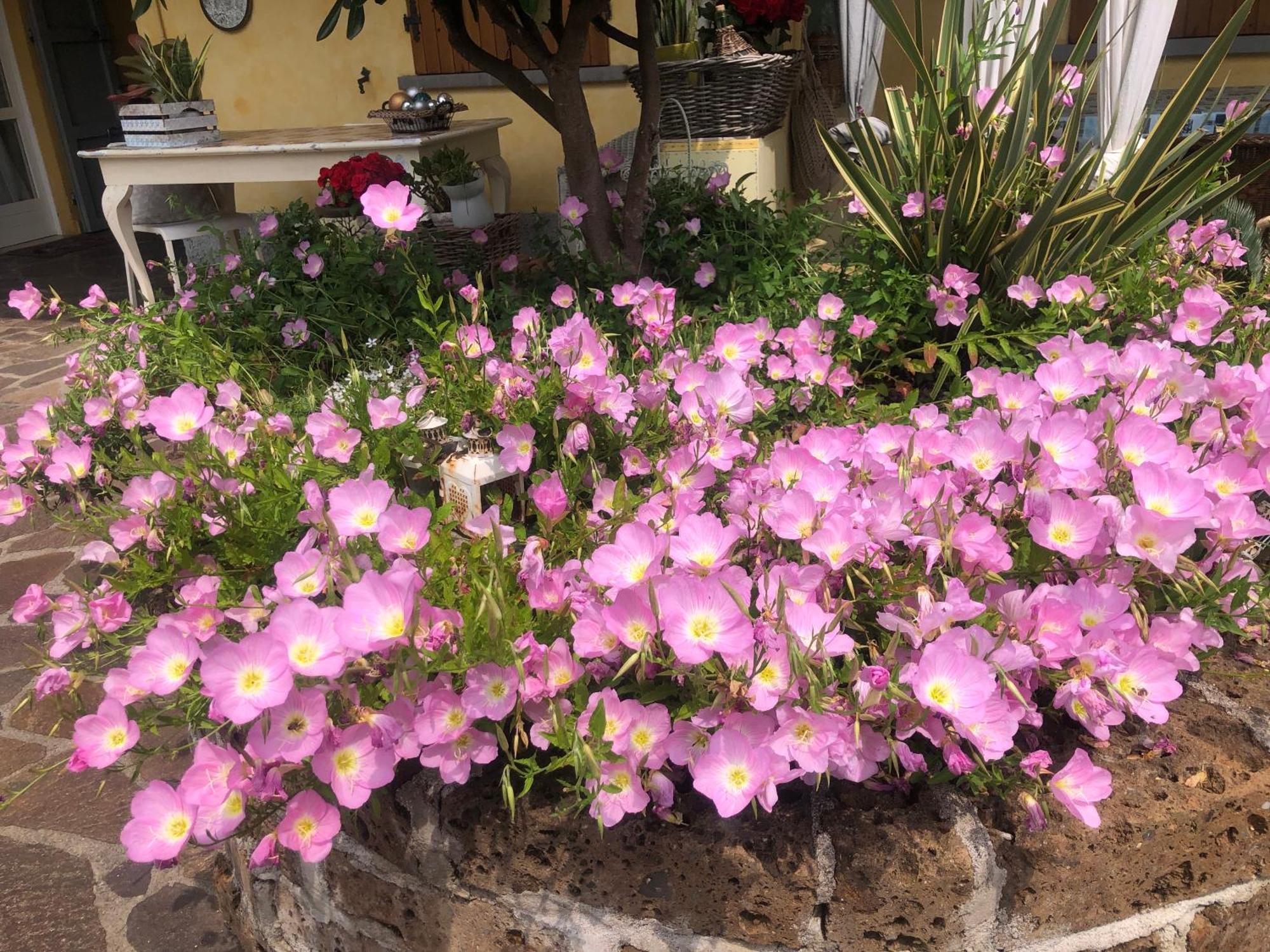 B & B Da Giusy Corte Franca Exterior photo